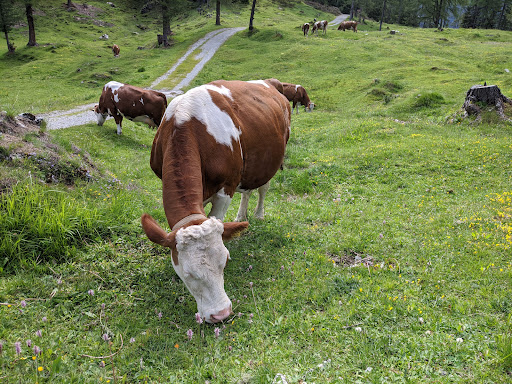 laghetto di abbeveraggio - Thumbnail