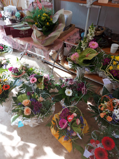 Wolf Blumen - Visual