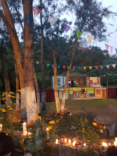 Centro Ejidal El Tronconal