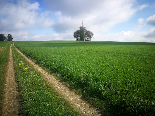 Wasserturm Moosinning - Visual
