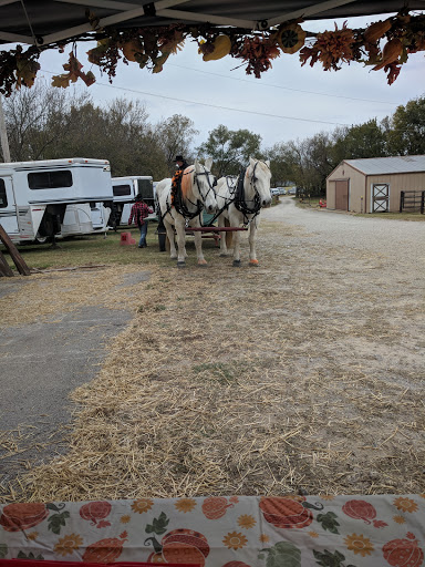 Stormwalker Ranch - Visual