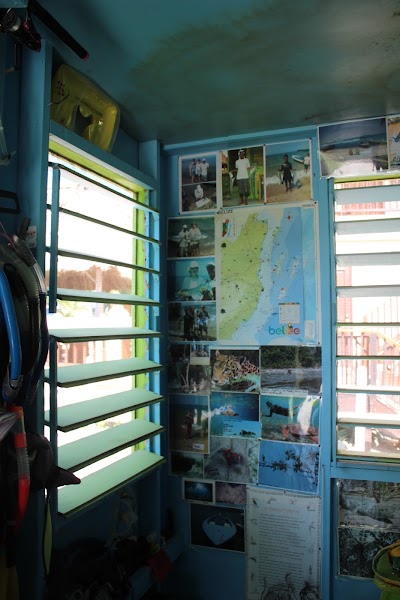 Photos of Placencia Eagle Ray Tours