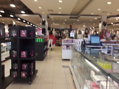 Photos of RIPLEY CURICO