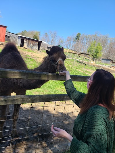 Little Ponderosa Zoo and Rescue