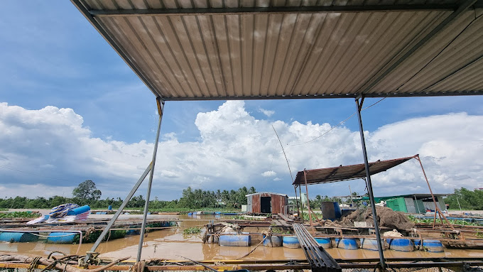 Bè Câu Cá Dịch Vụ Thanh Sang., Châu Thành, Tiền Giang