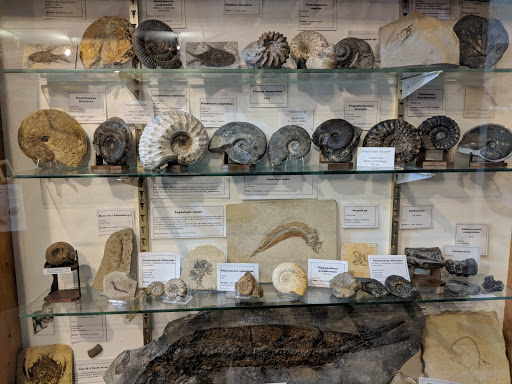 Stone Science - Visual