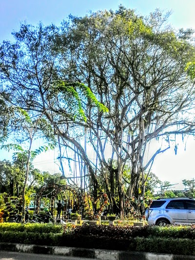 Photos of Taman Pohon Unik