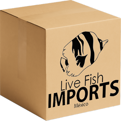 Live Fish Imports Mexico
