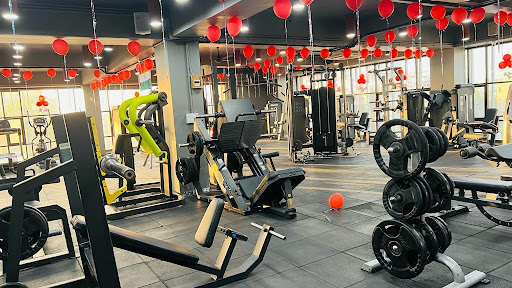 LION'S GIMNASIO (by shiv fitness)