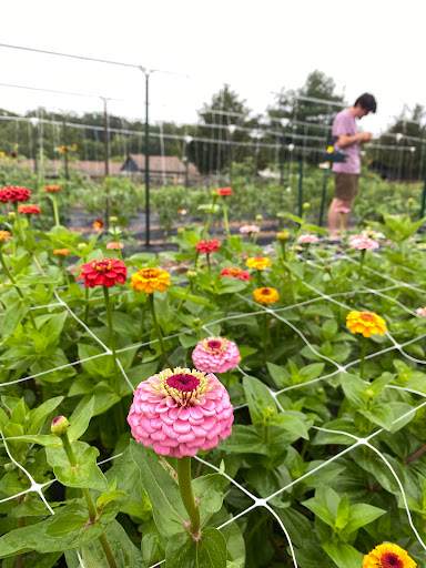 Lily Pad Acres - Thumbnail