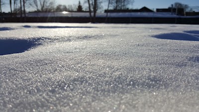 Photos of Kopli Cemetery Park