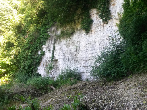 Cookham Dean Chalk Pit - Thumbnail