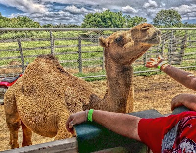 Photos of Adventure Park