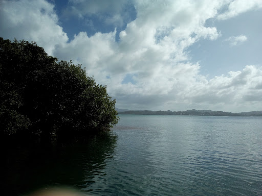 Lorraine Nature et Services - Thumbnail
