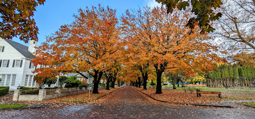 Vandercook Park - Visual