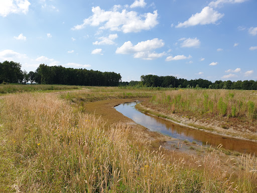 Natuurgebied Koeweiden - Thumbnail
