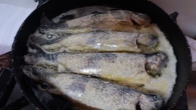 Photos of Atak&ouml;y Alabalık Tesisleri