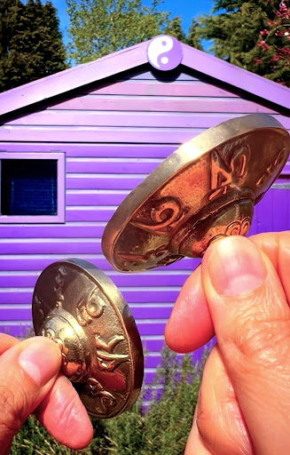 The Hair & Wellbeing Stylist