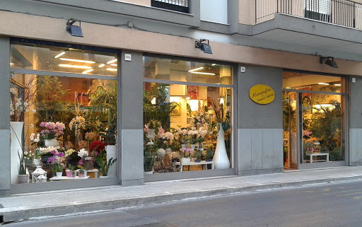 Mimmoflor - Visual
