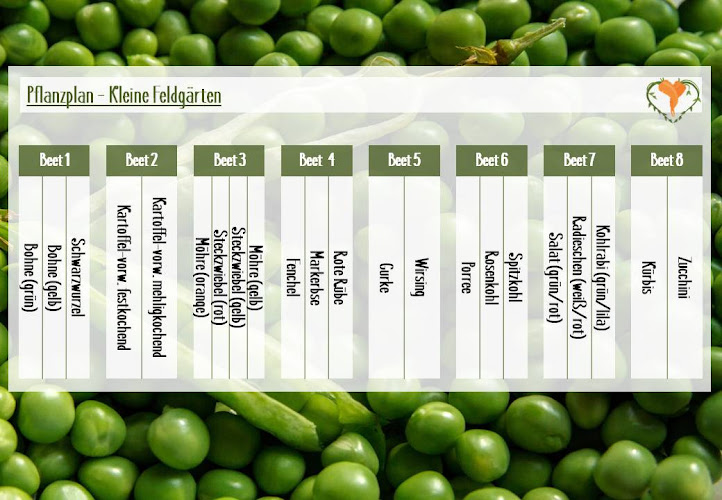 Feldgärten Rostock photo