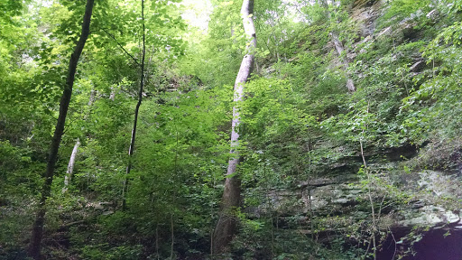 King Cave - Visual