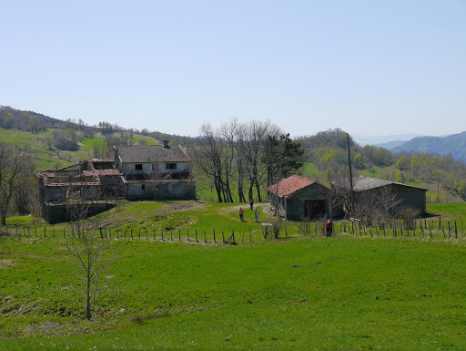 I Prati - Visual