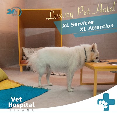 XL Dog Hotel