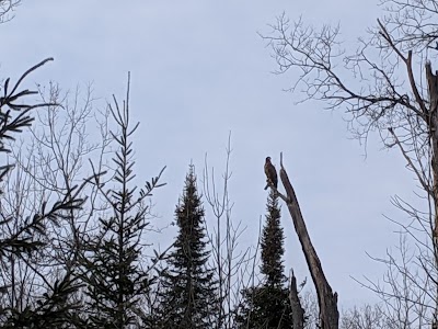 Keeney Swamp State Forest