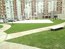 Фотография , Колумбия