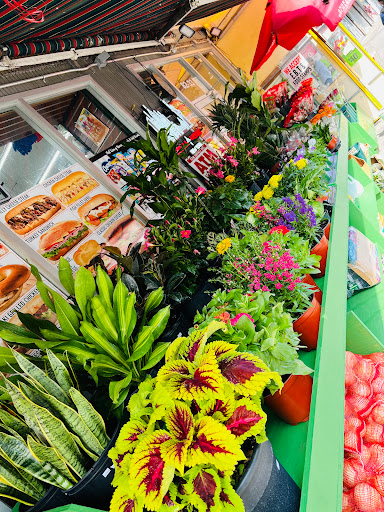 AADHYA DELI & GROCERY - Thumbnail