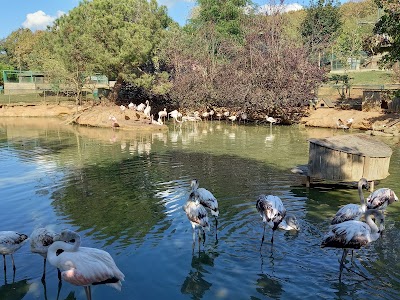 Polonezköy Zoo - Doğal Yaşam Parkı