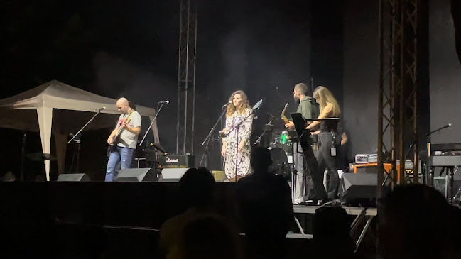 Radno vrijeme Thrill Blues Festival