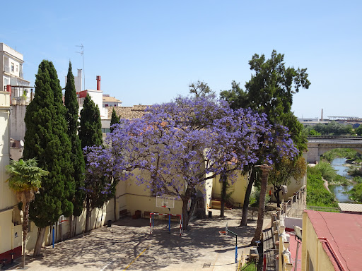 Colegio Carmelites Gallery - Spain