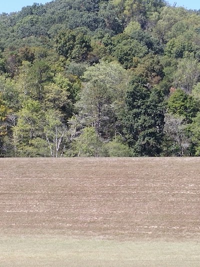 Photos of Tar Hollow State Park