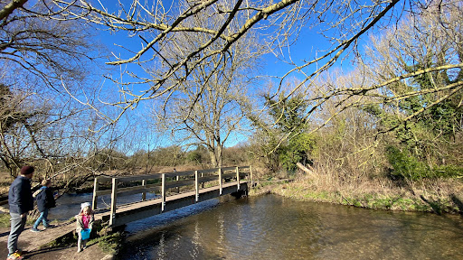 River Chess - Visual