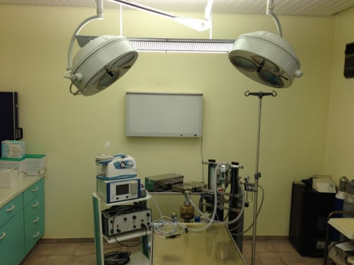 Veterinary practice Dambach - Visual