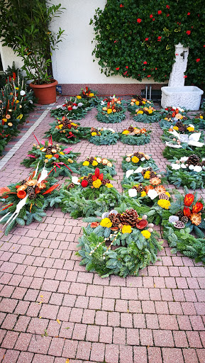 Harald Paul Blumengeschäft - Visual