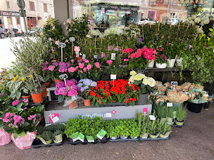 Photo n°54 de City fleurs | Fleuriste Corbeil-Essonnes à Corbeil-Essonnes (Service de plantes d'intérieur)