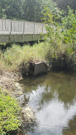 Buschman Park - Visual