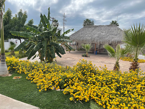 Bahía 87 - Visual