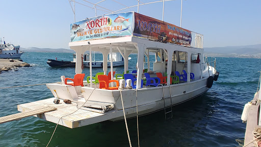 North Balık Avı Turları