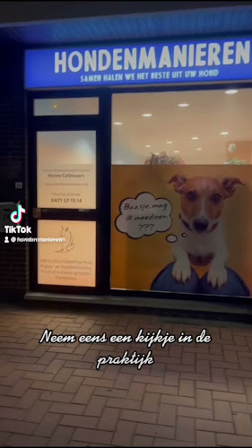 Beoordelingen van Hondenmanieren, puppy training, hondentraining & gedragsproblemen in Bergen - Hondentrainer