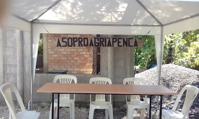 grocery-or-supermarket