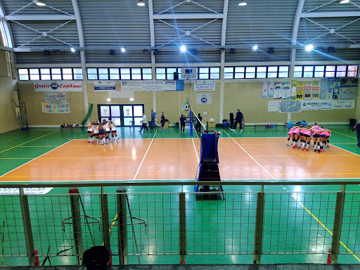 PALLAVOLO - Visual