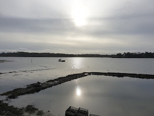Photo n°23 de Huitres Damerose à Locoal-Mendon (Fournisseur d'huîtres)