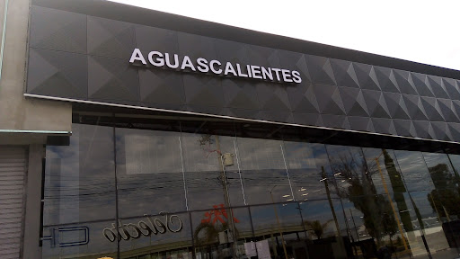 GWM Aguascalientes - Visual