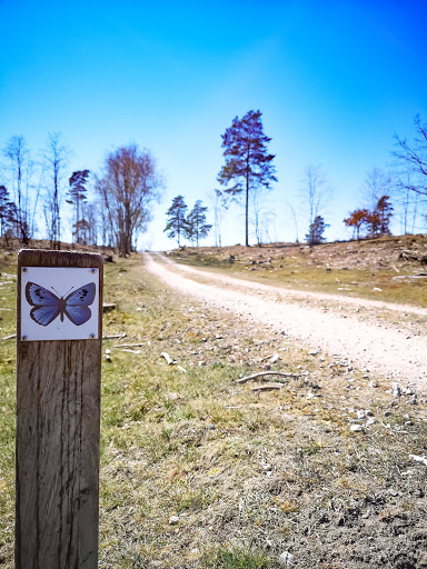 Maglehem naturreservat