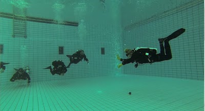 Photos of N.O.W. Dive