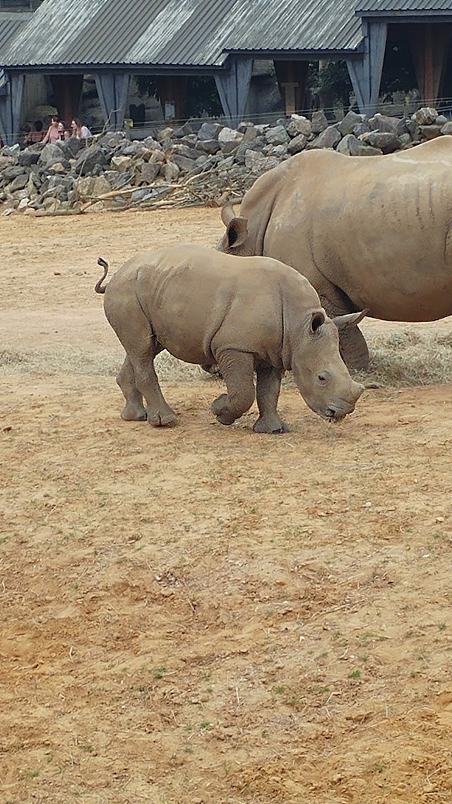 Colchester Zoo