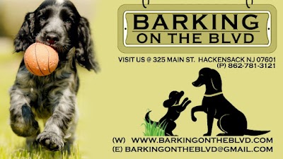 Barking on the BLVD